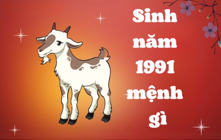 sinh-nam-1991-nam-nay-bao-nhieu-tuoi